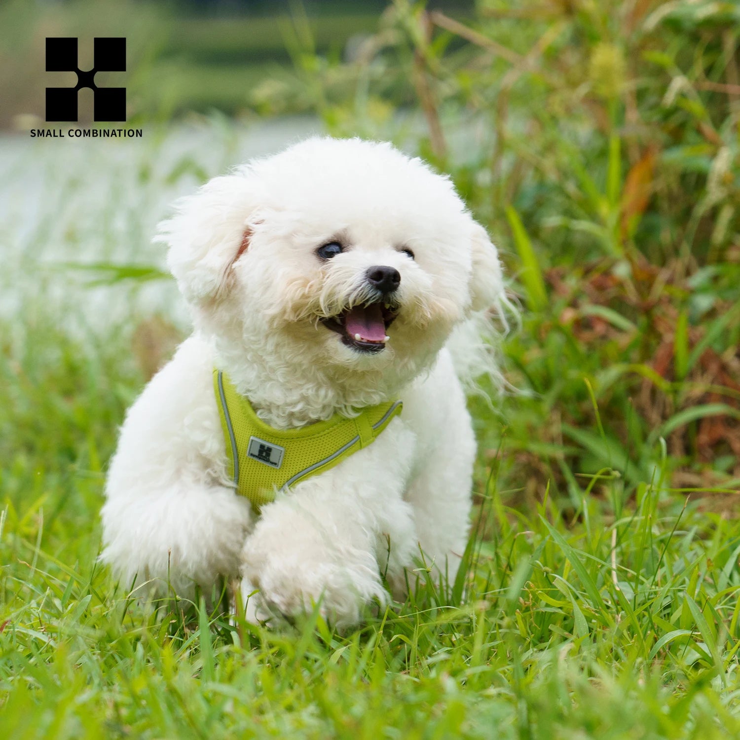 Dog Harness Leash Set for Small Medium Dog Adjustable Reflective Puppy Cat Harness pet Vest Chihuahua Dachshund Outdoor Walking